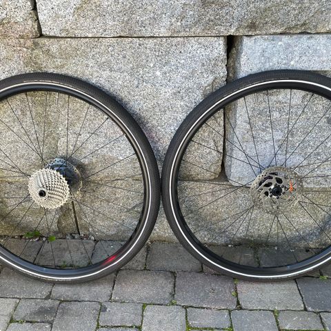 WTB Speedterra i23 gravel hjulsett