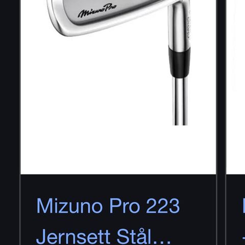 Mizuno Pro 223 4-Pw