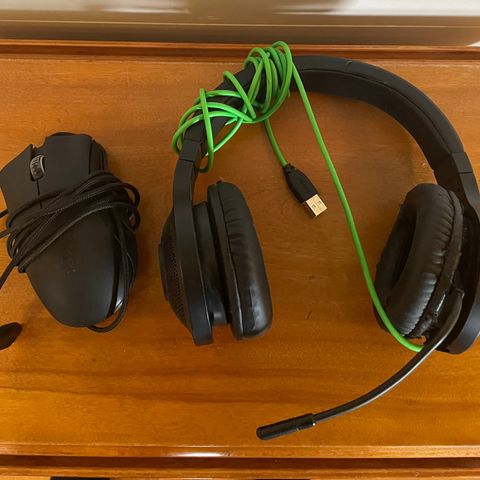 Razer datamus (Deathadder 2013) og headset