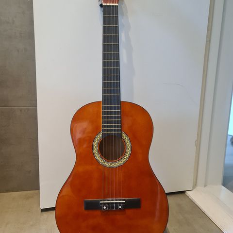 Klasik gitar