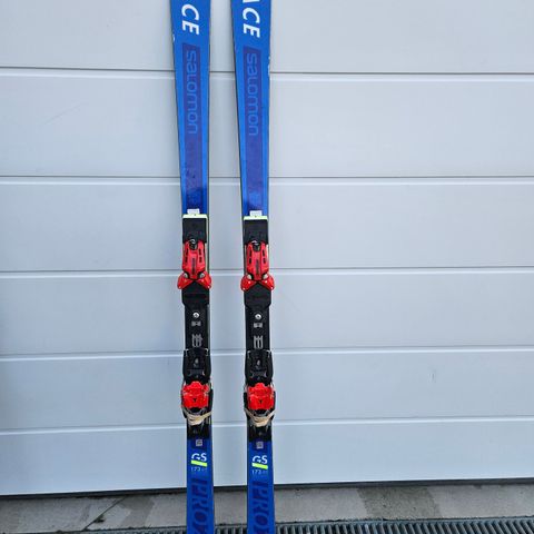 Salomon Race GS 173