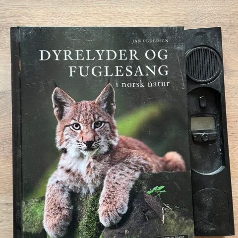 Dyrelåter og fuglelyder