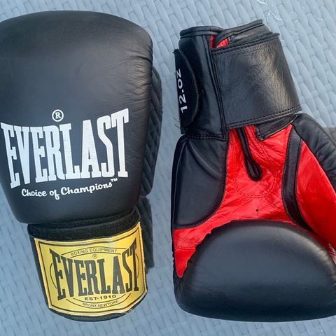 Everlast boksehansker 12. oz