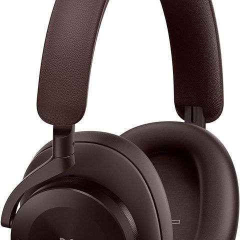 Bang & Olufsen Beoplay H95