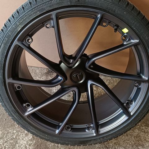 Model 3 performance 20’’ warp vinter hjulsett