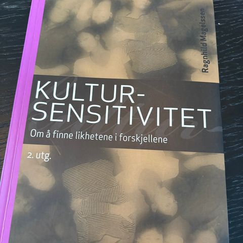 Kultursensitivitet, om å finne likhetene i forskjellene