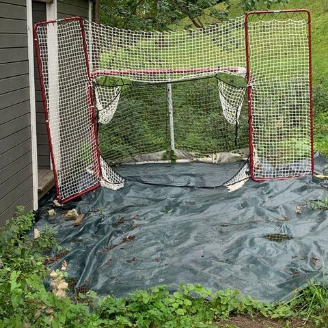 Hockeymål med backstop