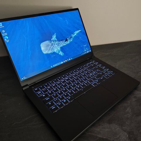 Khameleon P9 Gaming Laptop,  i7-9750H, GTX 1660Ti, 16 GB RAM