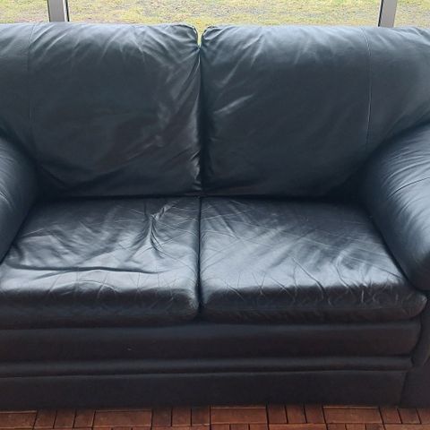 Skinn sofa .