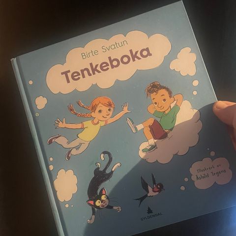 Tenkeboka