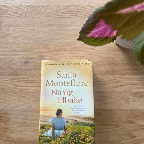 Santa Montefiore «Nå og Tilbake». Innbundet