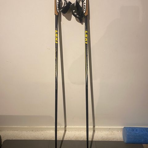 Leki skistaver 140 cm