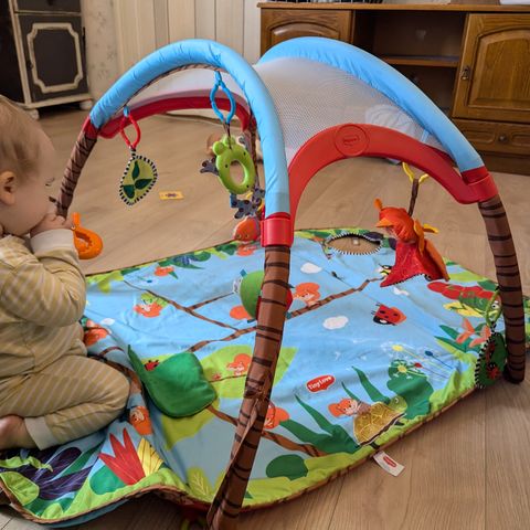 Babygym fra tinylove