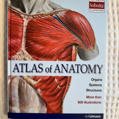 Atlas of anatomy