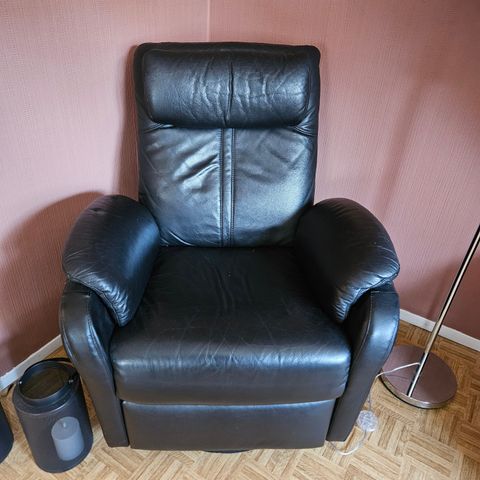 Deilig skinn recliner