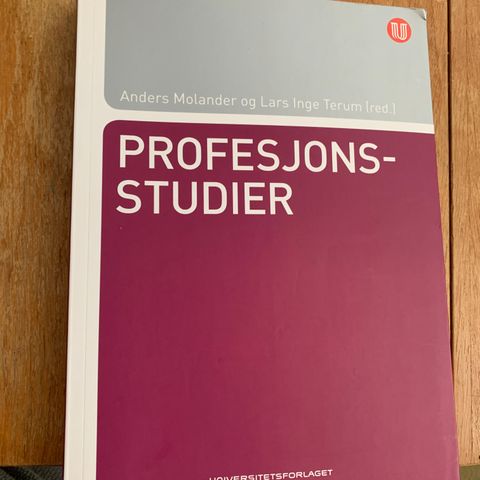 Profesjonsstudier