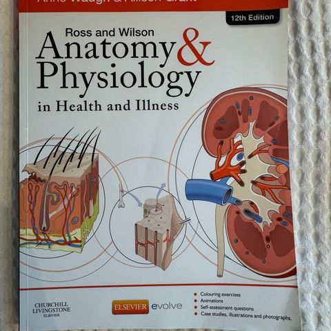 Anatomy and physiology