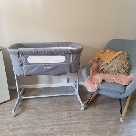 Moweo Bedside Crib