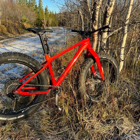 Canyon Dude CF8 str M fatbike