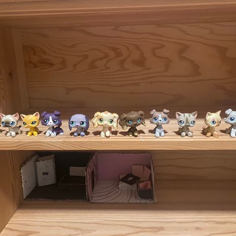 Littlest pet shop main 5s