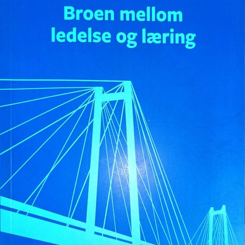 Broen mellom ledelse og læring