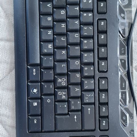 Acer tastatur