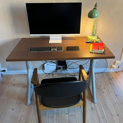 Standing Desk IDÅSEN Arbeidsbord Sitte/stå 120/70cm