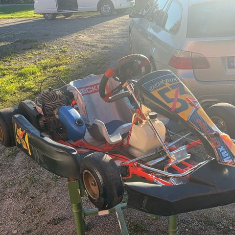 Intrepid Gokart.