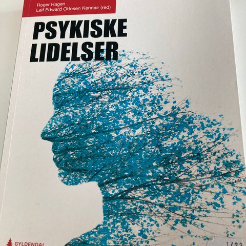 Psykiske lidelser