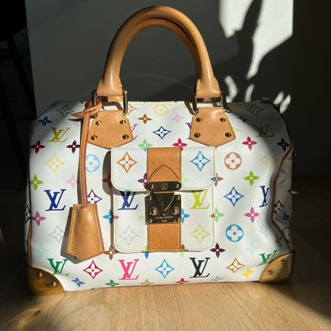 Louis Vuitton Speedy 30 multicolore