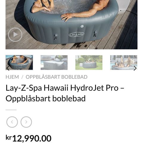 Lay Z Spa