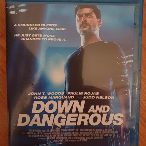 DOWN AND DANGEROUS (2013)