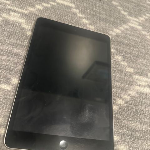 iPad Mini 2