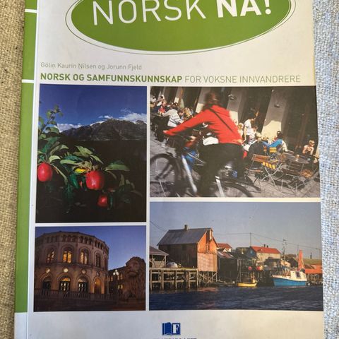 Norsk Nå Arbeidsbok 1