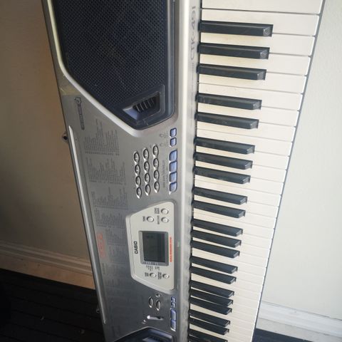 Casio CTK - 491