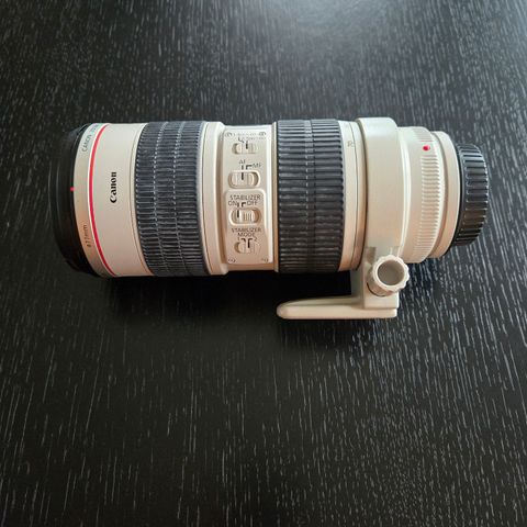 Canon EF 70-200mm f/2.8L IS USM