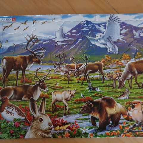 Puzzle med dyr fra nord