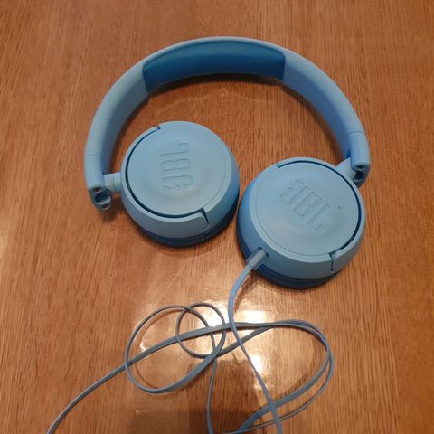 Jbl headset for barn