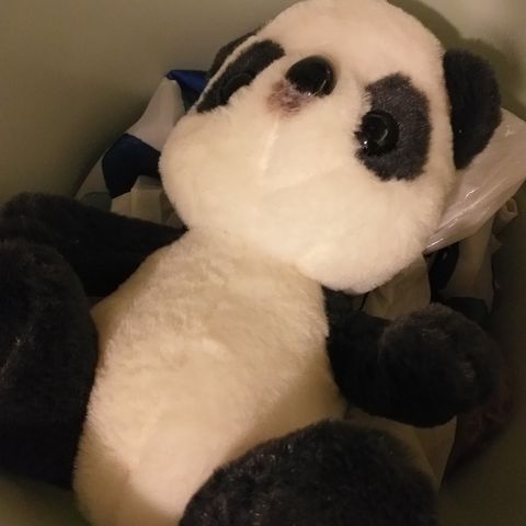 Bamsen panda