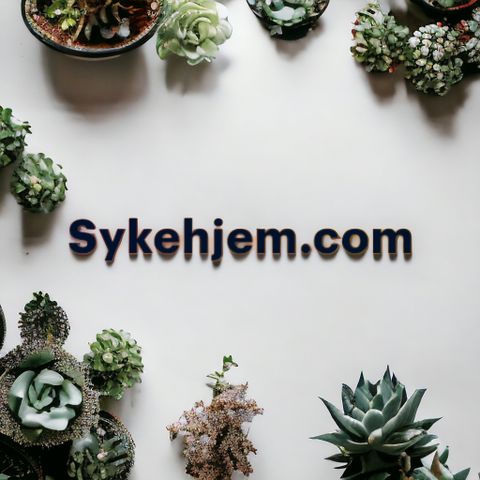 sykehjem.com