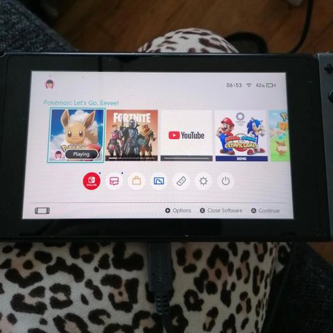 Nintendo switch