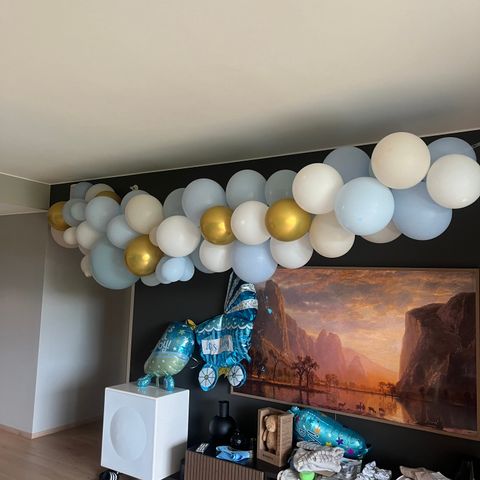 Babyshower; ballongbue, ballonger og girlander (gutt) gies bort