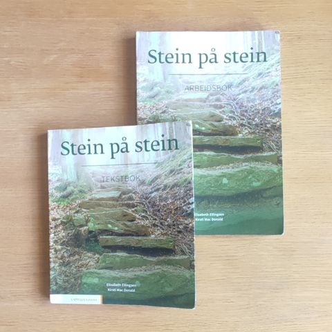 Stein på stein textbook and workbook