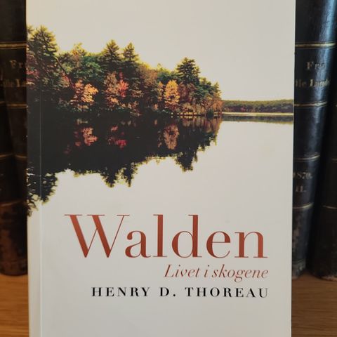 Walden- livet i skogene