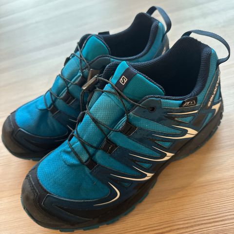 Salomon Goretex sko str. 37