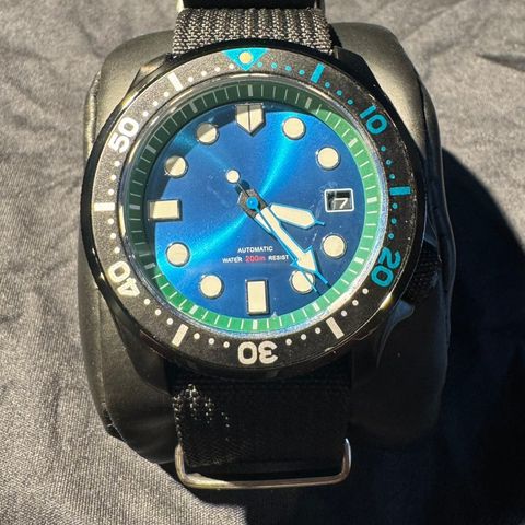 Seiko Mod