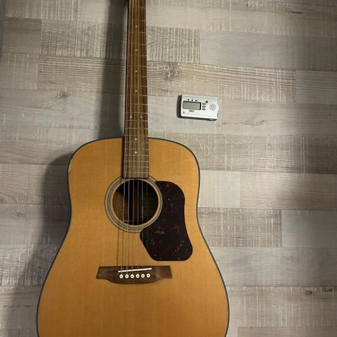 Walden Natura D570 Gitar