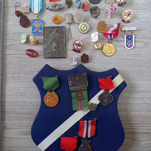 Pins og medals- 100 stk.