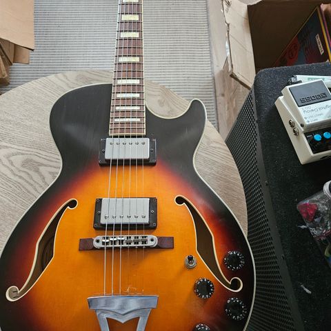 Ibanez AG 75