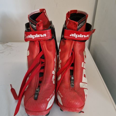 Alpina elite junior skate 38